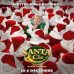 La comédie « Santa & Cie » : un divertissement pour petits et grands au cinéma