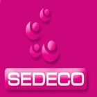 Business : zoom sur l’externalisation offshore de SEDECO