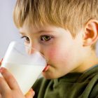 Le lait enregistre une baisse de consommation, selon une étude 