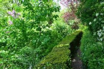 Jardin a Paris, la capitale francaise accueille de nouveaux lieux de rencontres et jardins