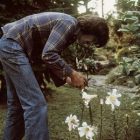 Un parc arboré à l’effigie de George Harrison à Liverpool