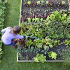 Le jardinage a eu la cote pendant le confinement