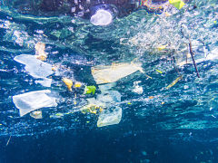 Pollution plastique, recyclage, bioplastique et nettoyage des oceans