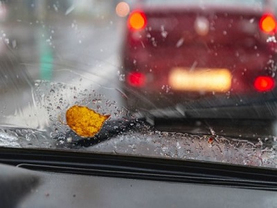 une feuille sur un pare-brise durant un temps pluvieux