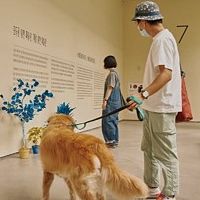 Musee d art moderne, exposition ouverte aux visiteurs et leurs chiens