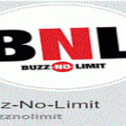 Buzz No Limit : toute une collection de films à télécharger