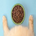 Pourquoi choisir une alimentation saine pour les chiens et les chats ?