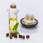 Les bienfaits beauté de l’huile de jojoba sur la peau et les cheveux