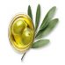 Les vertus nutritionnelles de l’olive pour le métabolisme