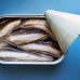 Les nombreuses vertus nutritionnelles de la sardine