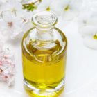 L’huile de calophylle : un véritable trésor pour l’épiderme