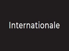 internationale-veedz-propose-un-bon-nombre-d-informations