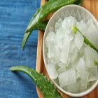 L’aloe vera : un allié pour la peau et les cheveux