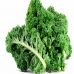 Kale, les vertus exceptionnelles de ce chou !