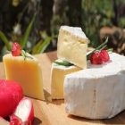 Camembert : un fromage bénéfique au corps