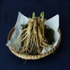 Le ginseng et ses bienfaits beauté