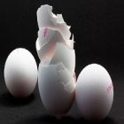 La coquille d’œuf et ses multiples vertus pour le corps