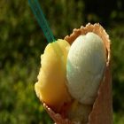 Sorbet : un dessert bénéfique au corps !