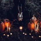 Halloween : une décoration bénéfique pour l’environnement