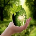 Environnement : des astuces écologiques à adopter au bureau