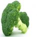 Légumes diurétiques : 4 vertus de ces comestibles pour le corps