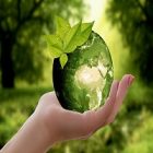 Environnement : des podcasts pour conscientiser sur le respect de la planète
