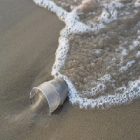 Environnement : quelques écogestes contre la pollution des plages
