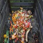 Gaspillage alimentaire : des astuces efficaces pour vaincre ces déchets