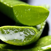 Le gel d’aloe vera, un remède contre la conjonctivite