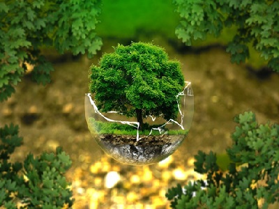 L'image d'un arbre dans une boule en verre cassée