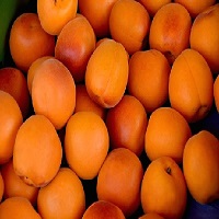 Des fruits à noyau, soit des abricots étalés
