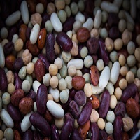 Des haricots de différentes couleurs