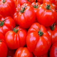 Des tomates rouges