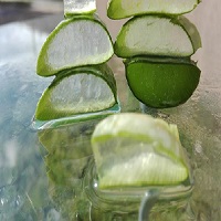 le gel d’aloe vera