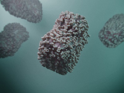 l’image du virus de la variole du singe