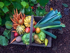 Des fruits et légumes dans un panier