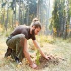 Le contact avec la nature contribuerait à améliorer la santé humaine