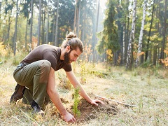 Un homme en train de planter un arbre