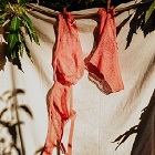 Des sous-vêtements biodégradables qui réduisent les déchets textiles