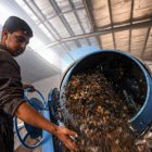 Les start-ups vertes face aux déchets plastiques en Egypte