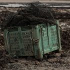 Nettoyer les parcs à huîtres de Charente-Maritime pour lutter contre la pollution plastique