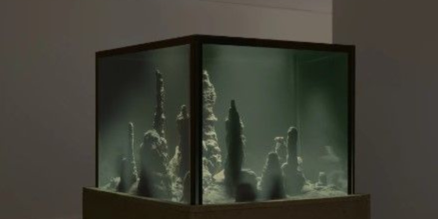 Une œuvre artistique de Pierre Huyghe exposée à la Bourse de Commerce de Paris.