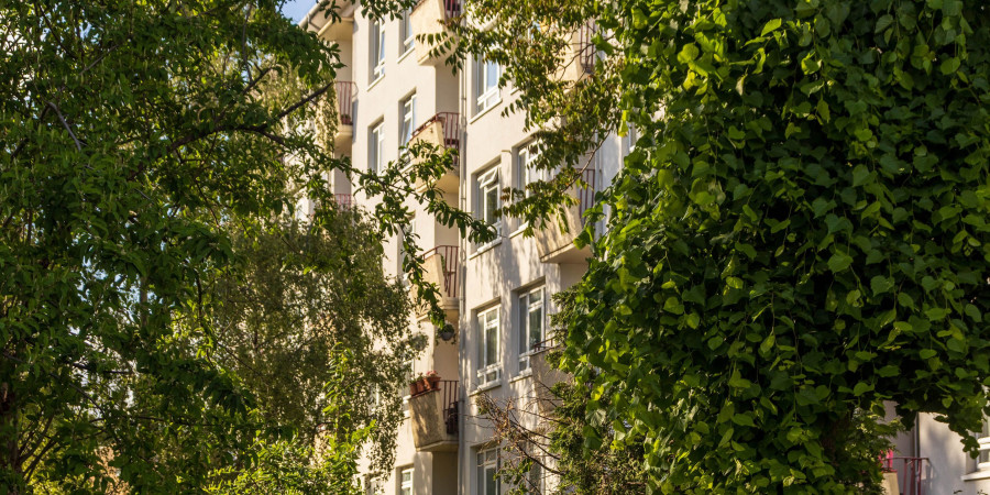 Des arbres devant la façade d’un immeuble
