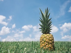 Un ananas sur un gazon sous un ciel bleu