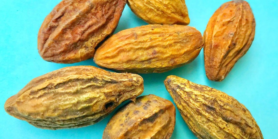Le chebula, un ingrédient anti-âge utilisé dans les produits cosmétiques