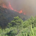 L’IA sert à la détection des feux de forêt dans le sud-est en France