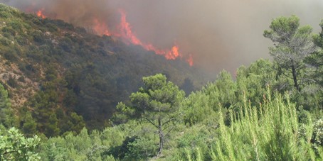 De gros feux de forêt sur une montagne