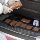 USA : du progrès dans la lutte contre le trafic de drogue grâce à l’IA