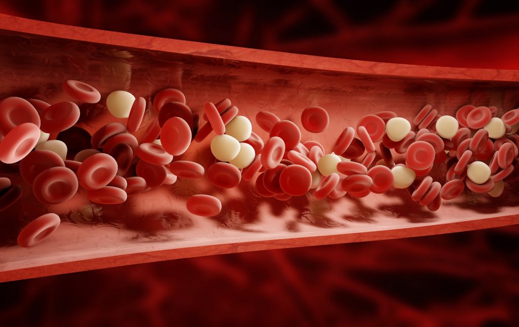 Des globules rouges et des globules blancs dans le sang 