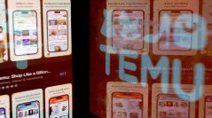 Temu : un géant de plus dans le secteur de l’e-commerce